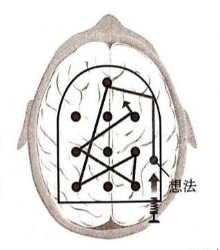 大脑不清醒精神不集中（看东西脑子感觉不入脑怎么回事）