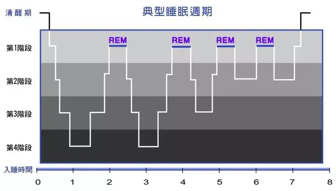 快速眼动睡眠多久正常（浅睡眠是不是等于没睡）